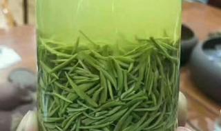 峨眉毛尖属于什么茶 信阳毛尖什么茶